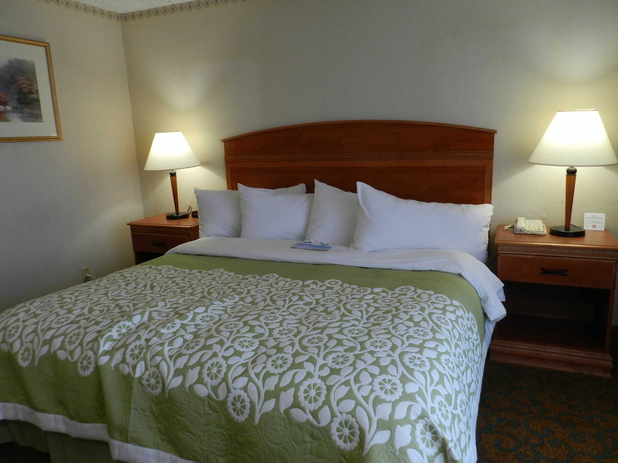 Готель Clarion Pointe Rhinelander Downtown Екстер'єр фото
